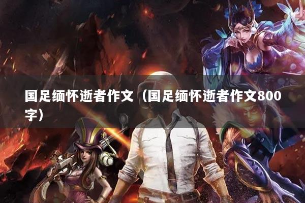 国足缅怀逝者作文（国足缅怀逝者作文800字）