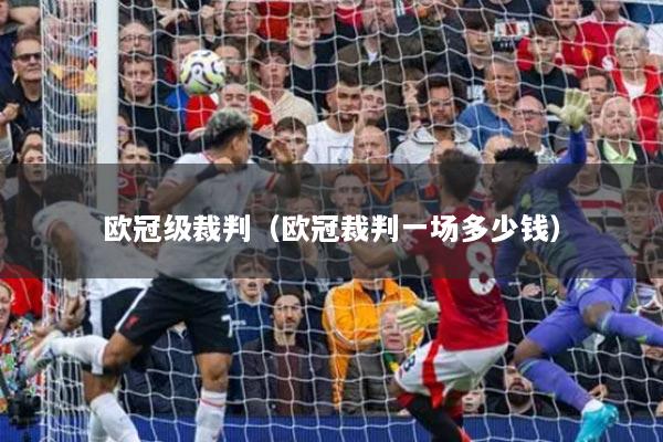 欧冠级裁判（欧冠裁判一场多少钱）