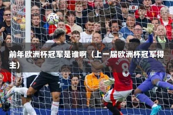 前年欧洲杯冠军是谁啊（上一届欧洲杯冠军得主）