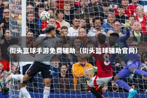 街头篮球手游免费辅助（街头篮球辅助官网）