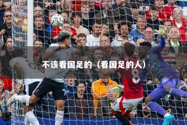不该看国足的（看国足的人）