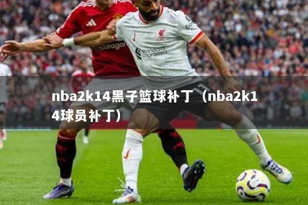 nba2k14黑子篮球补丁（nba2k14球员补丁）