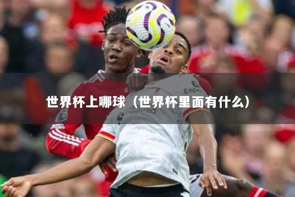 世界杯上哪球（世界杯里面有什么）