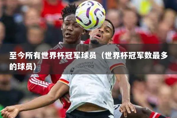 至今所有世界杯冠军球员（世界杯冠军数最多的球员）