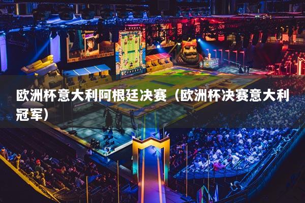 欧洲杯意大利阿根廷决赛（欧洲杯决赛意大利冠军）