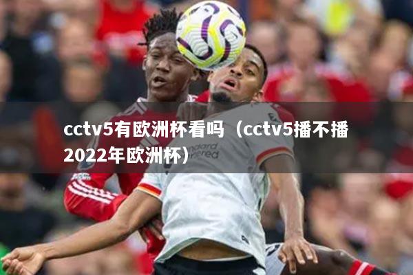 cctv5有欧洲杯看吗(cctv5播不播2022年欧洲杯)